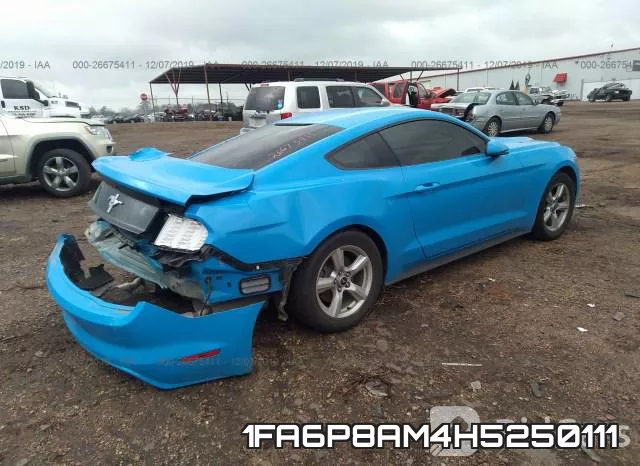 1FA6P8AM4H5250111_4.webp