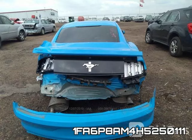 1FA6P8AM4H5250111_6.webp