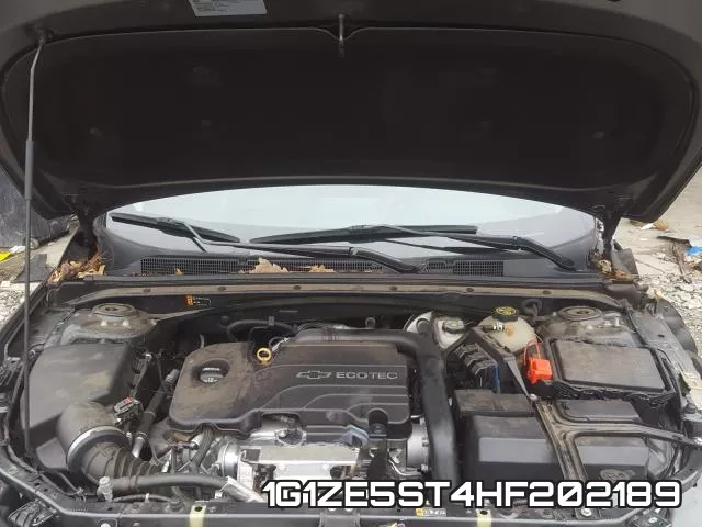 1G1ZE5ST4HF202189_7.webp