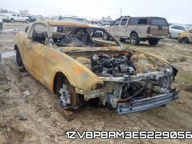1ZVBP8AM3E5229056
