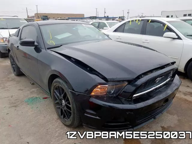 1ZVBP8AM5E5250037