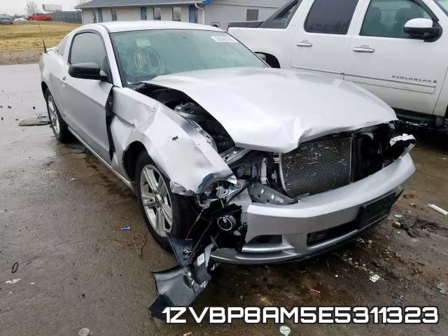 1ZVBP8AM5E5311323