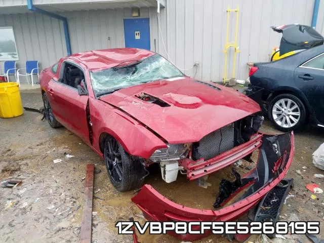 1ZVBP8CF5E5268195