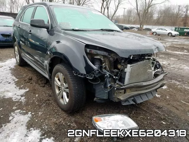2GNFLEEKXE6204318