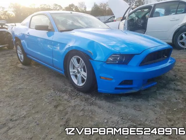 1ZVBP8AM8E5248976