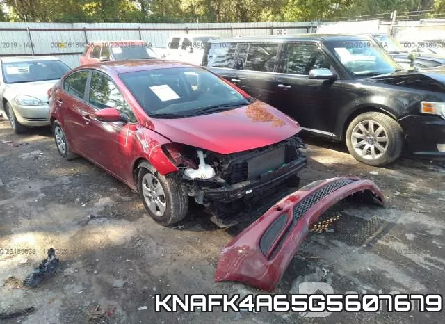 KNAFK4A65G5607679