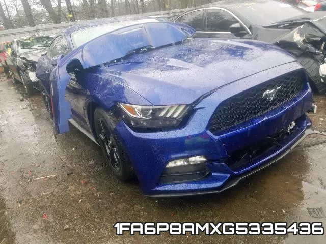 1FA6P8AMXG5335436
