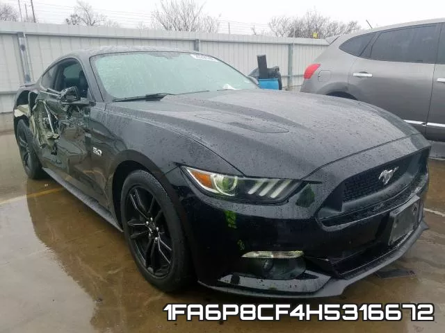 1FA6P8CF4H5316672_1.webp