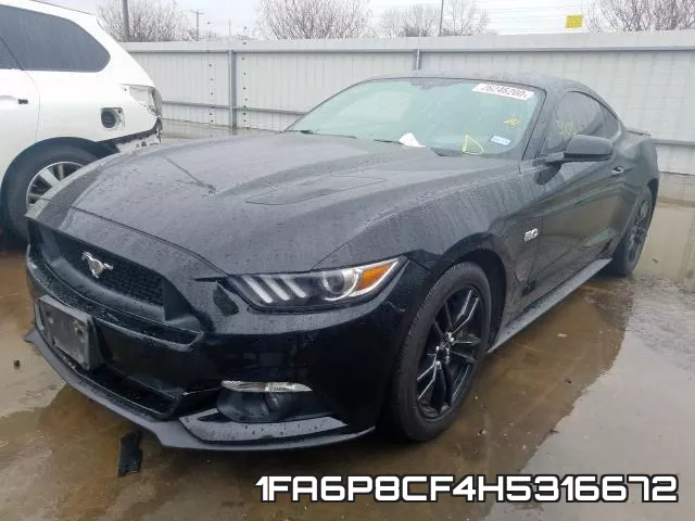 1FA6P8CF4H5316672_2.webp