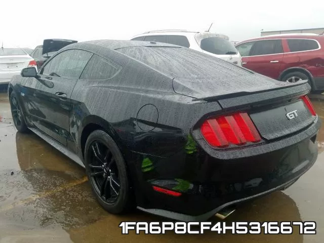 1FA6P8CF4H5316672_3.webp