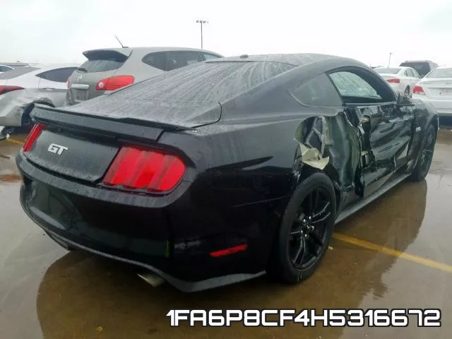 1FA6P8CF4H5316672_4.webp