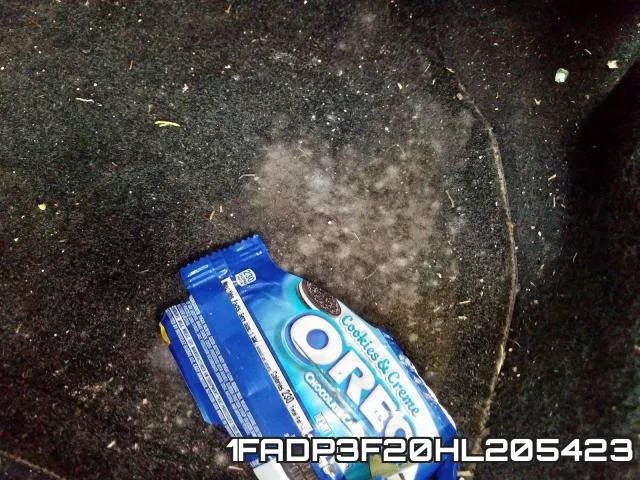 1FADP3F20HL205423_9.webp