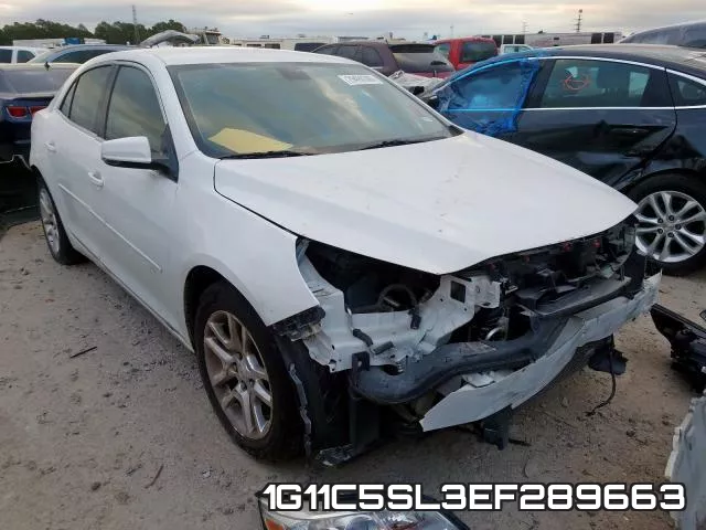1G11C5SL3EF289663