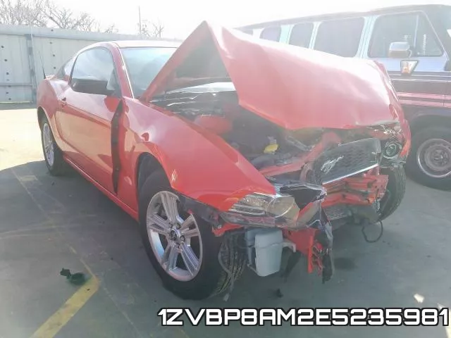 1ZVBP8AM2E5235981