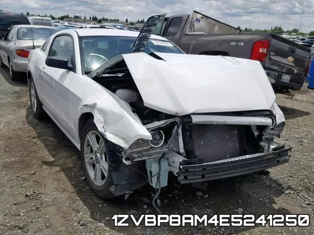 1ZVBP8AM4E5241250