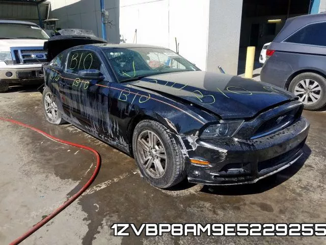 1ZVBP8AM9E5229255