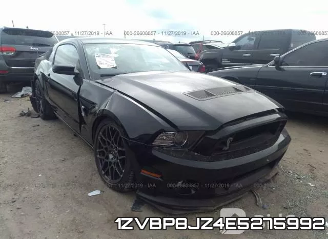 1ZVBP8JZ4E5275992