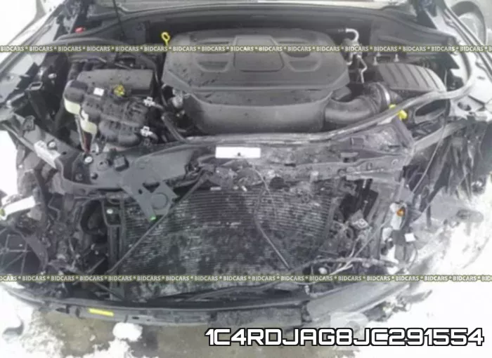 1C4RDJAG8JC291554