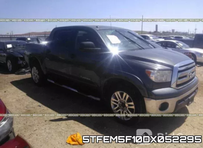 5TFEM5F10DX052295