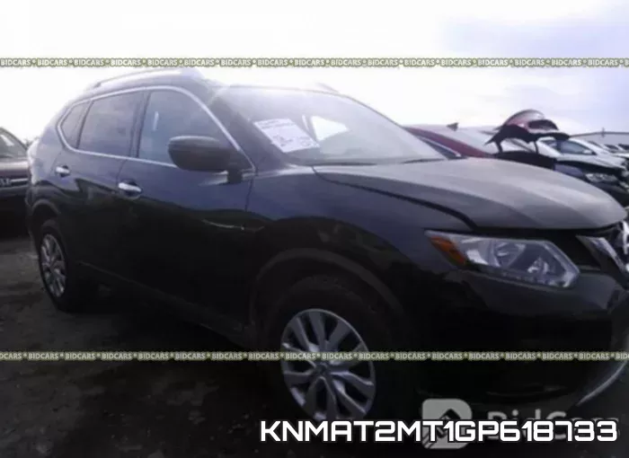 KNMAT2MT1GP618733