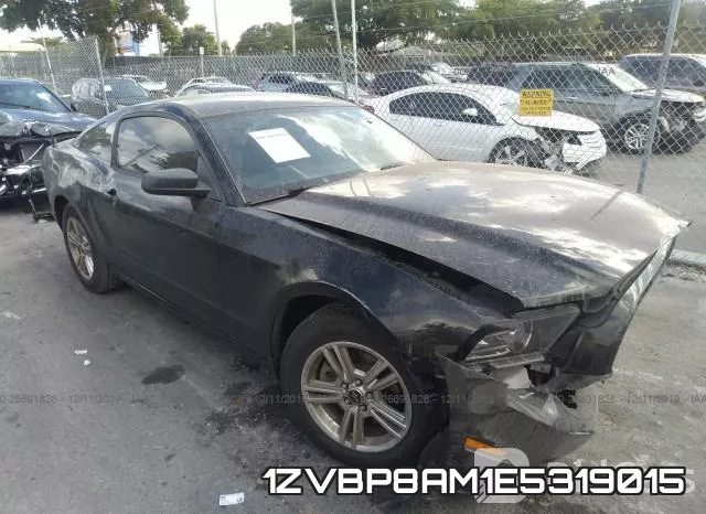 1ZVBP8AM1E5319015