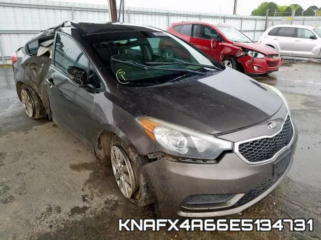 KNAFX4A66E5134731