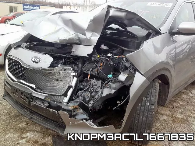 KNDPM3AC7L7667835_9.webp