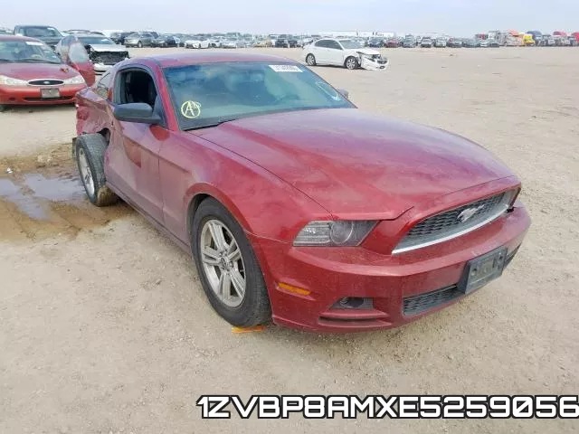 1ZVBP8AMXE5259056