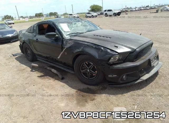 1ZVBP8CF1E5267254