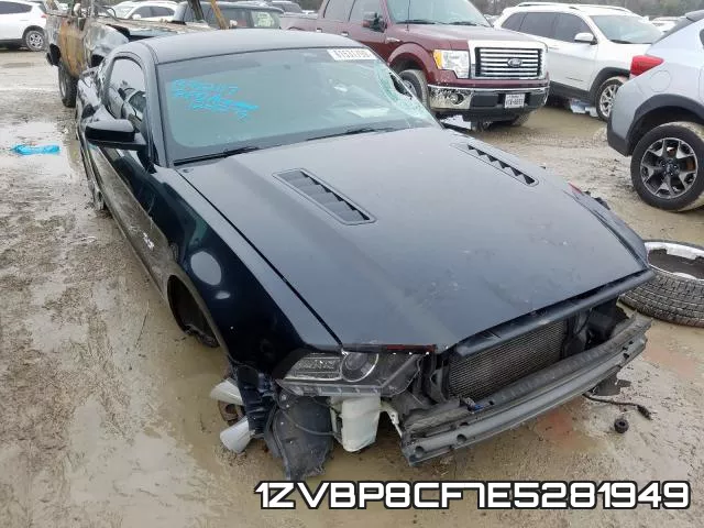 1ZVBP8CF7E5281949