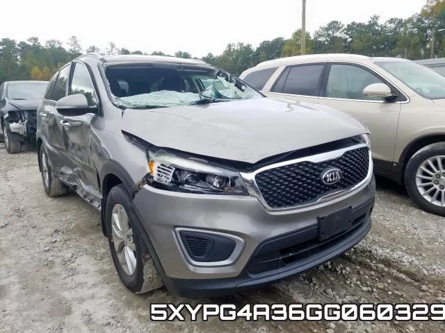 5XYPG4A36GG060329
