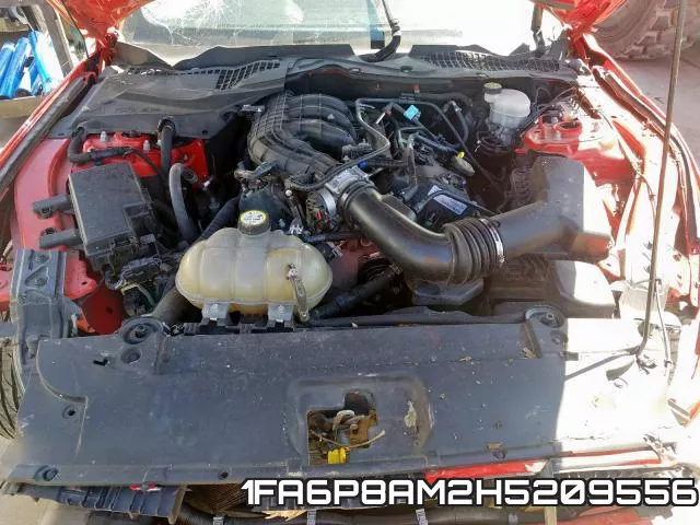 1FA6P8AM2H5209556_7.webp