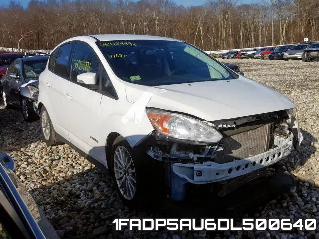 1FADP5AU6DL500640
