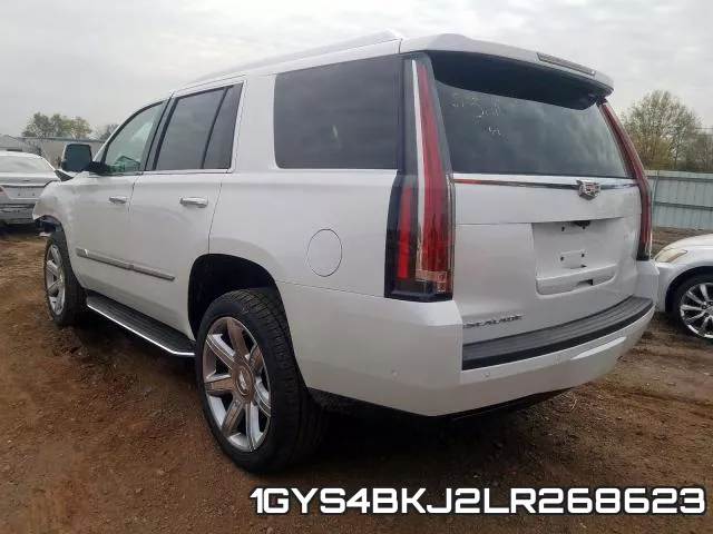 1GYS4BKJ2LR268623_3.webp