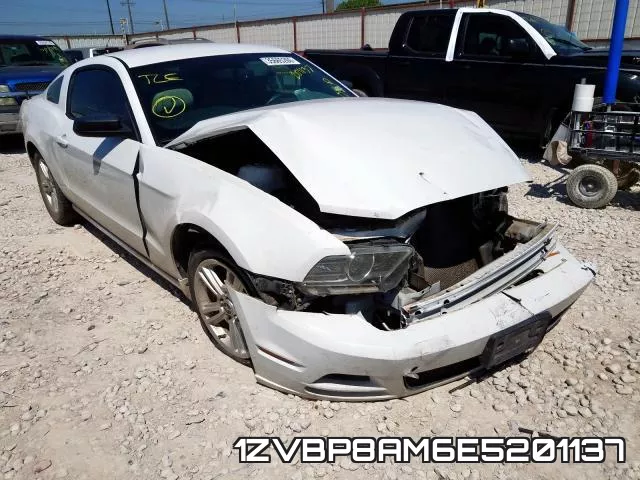 1ZVBP8AM6E5201137