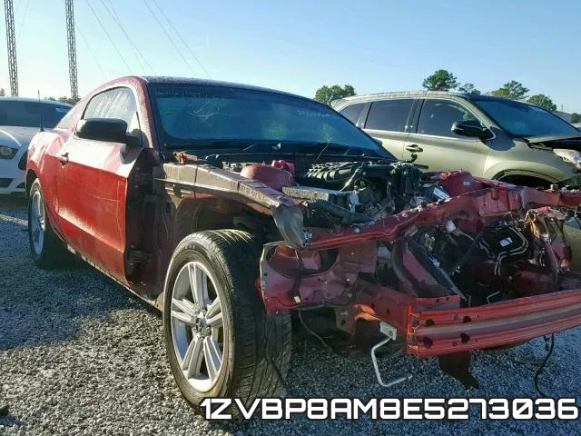 1ZVBP8AM8E5273036