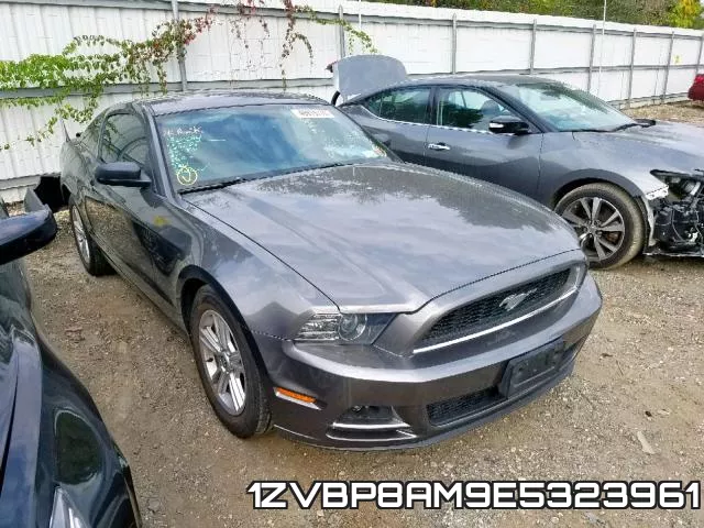 1ZVBP8AM9E5323961