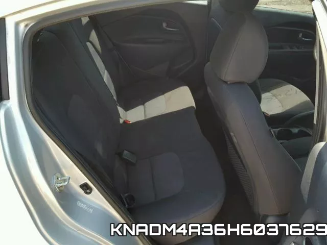 KNADM4A36H6037629_6.webp