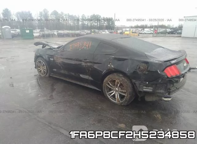 1FA6P8CF2H5234858_3.webp