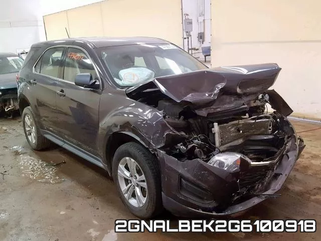 2GNALBEK2G6100918