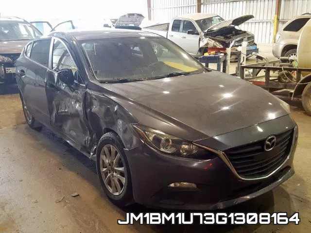 JM1BM1U73G1308164