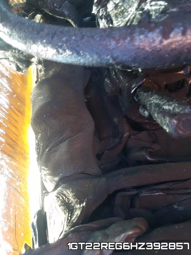 1GT22REG6HZ392857_8.webp