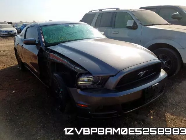 1ZVBP8AM0E5258983