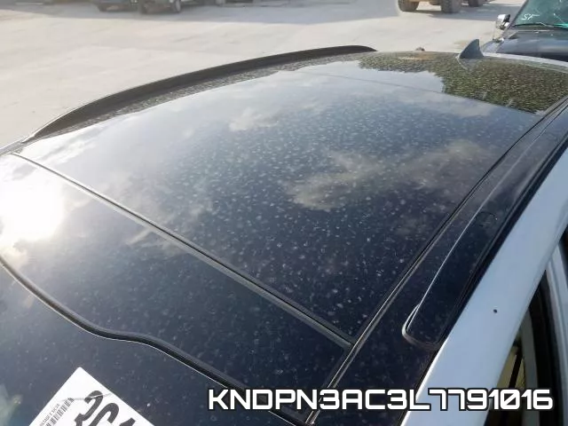 KNDPN3AC3L7791016_9.webp