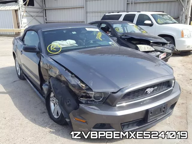 1ZVBP8EMXE5241019