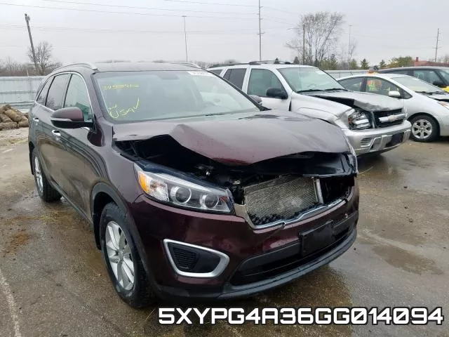5XYPG4A36GG014094