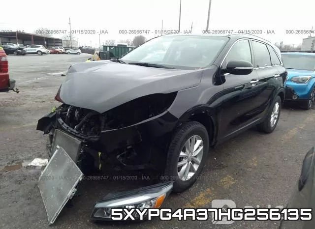 5XYPG4A37HG256135_2.webp