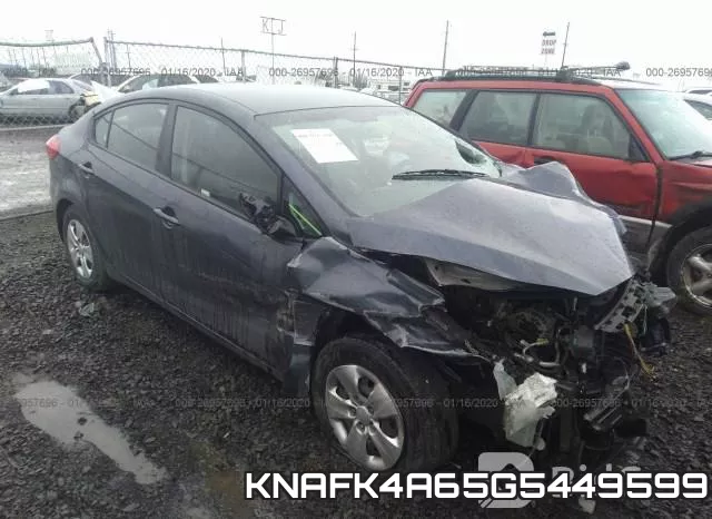 KNAFK4A65G5449599