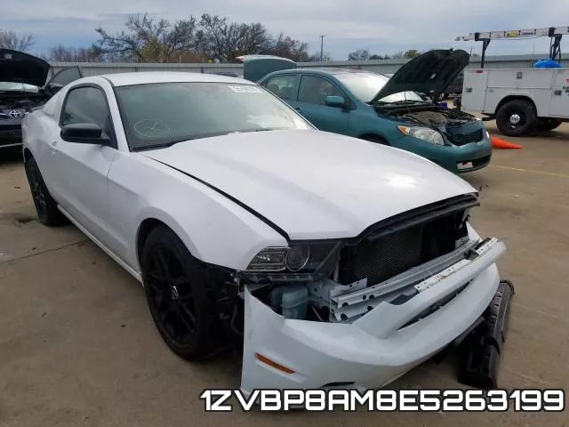 1ZVBP8AM8E5263199