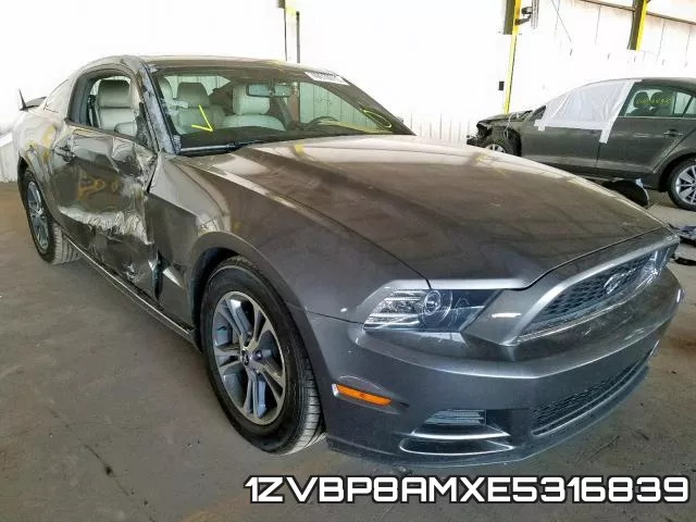 1ZVBP8AMXE5316839